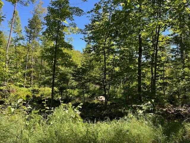 Lot 045 Sawyer Notch Road Andover ME 04216