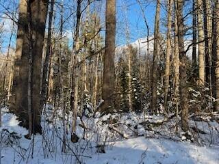 Lot 045 Sawyer Notch Road Andover ME 04216