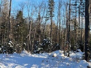 Lot 045 Sawyer Notch Road Andover ME 04216