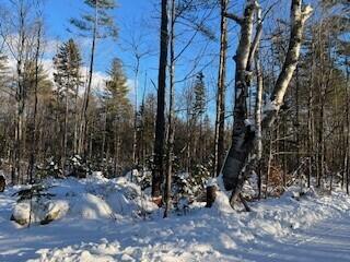Lot 045 Sawyer Notch Road Andover ME 04216