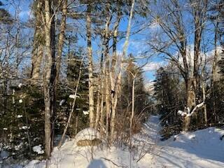 Lot 045 Sawyer Notch Road Andover ME 04216