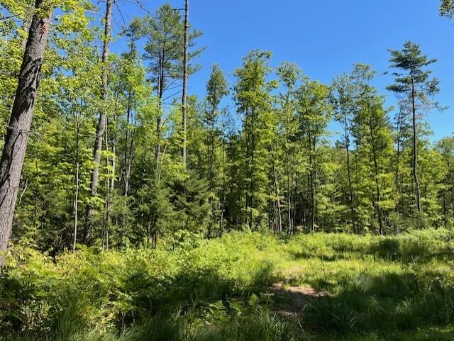 Lot 045 Sawyer Notch Road Andover ME 04216