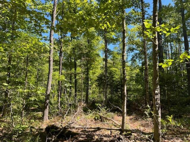 Lot 045 Sawyer Notch Road Andover ME 04216