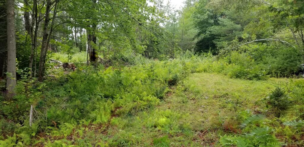 Lot 18&20 Carrabassett Road New Portland ME 04961