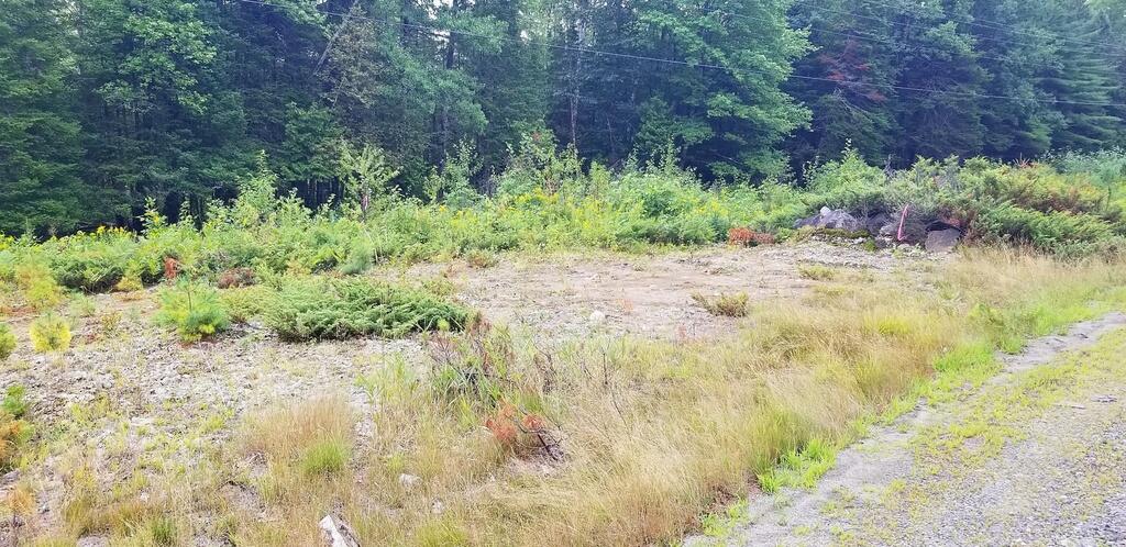 Lot 18&20 Carrabassett Road New Portland ME 04961