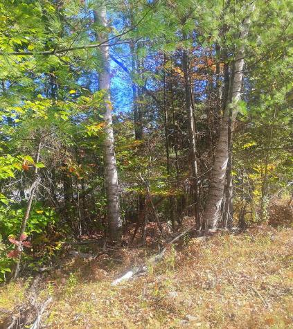 Lot 18&20 Carrabassett Road New Portland ME 04961