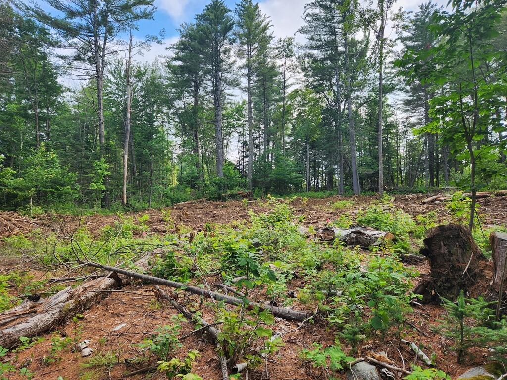 Lot 18&20 Carrabassett Road New Portland ME 04961
