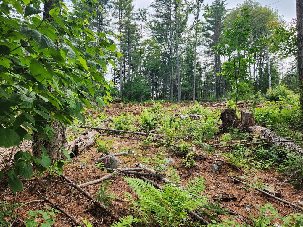 Lot 18&20 Carrabassett Road New Portland ME 04961