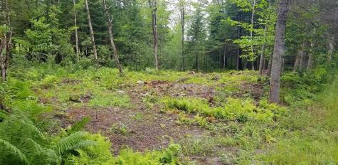 Lot 18&20 Carrabassett Road New Portland ME 04961