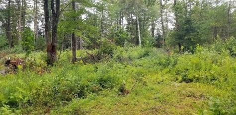Lot 18&20 Carrabassett Road New Portland ME 04961