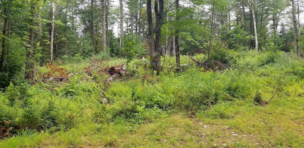 Lot 18&20 Carrabassett Road New Portland ME 04961