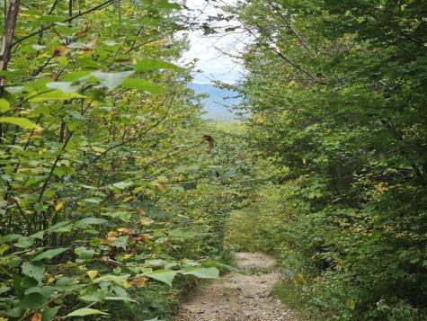 35 Off Averill Hill & Timberland Road Dixfield ME 04224