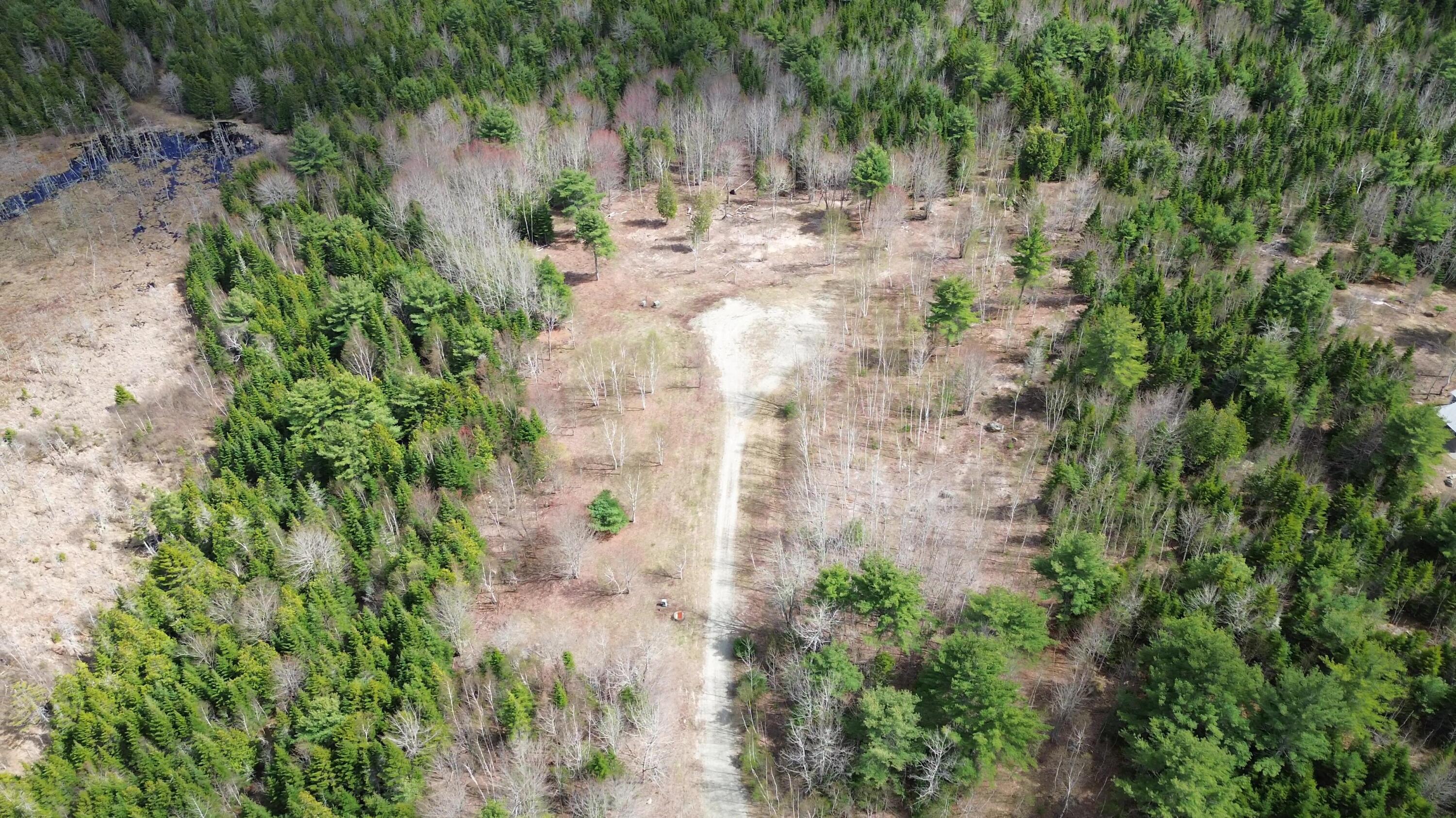 Lot 16 Bailey Mountain Road Franklin ME 04634