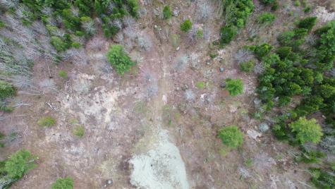 Lot 16 Bailey Mountain Road Franklin ME 04634