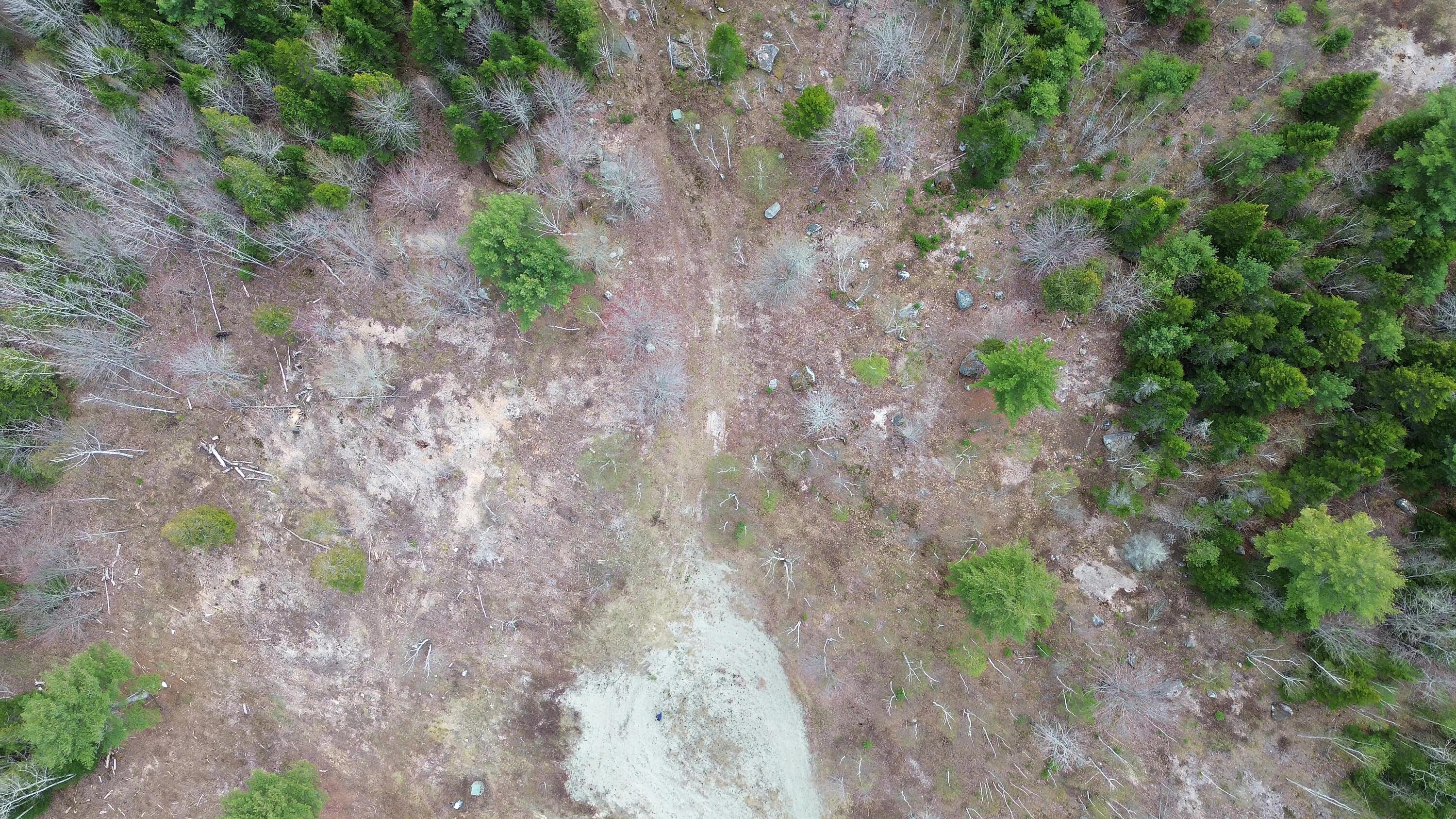 Lot 16 Bailey Mountain Road Franklin ME 04634