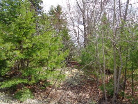 Lot 16 Bailey Mountain Road Franklin ME 04634
