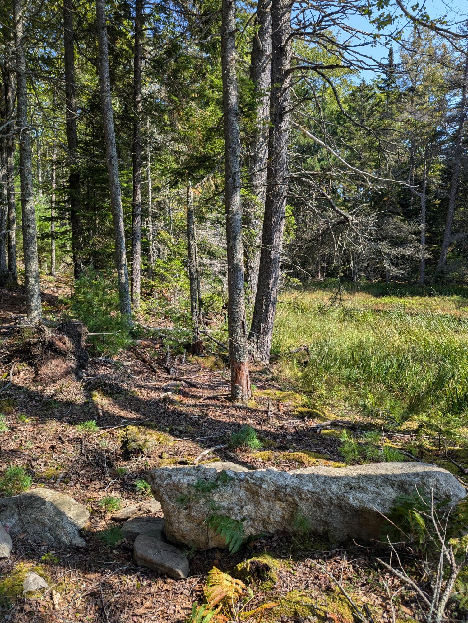 0 Route #144 (main Road) Westport Island ME 04578