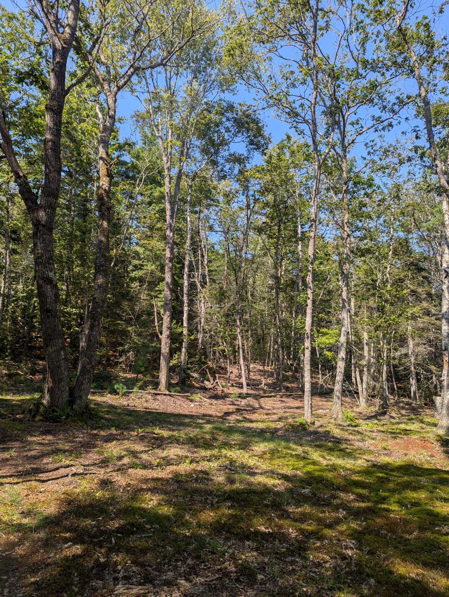 0 Route #144 (main Road) Westport Island ME 04578