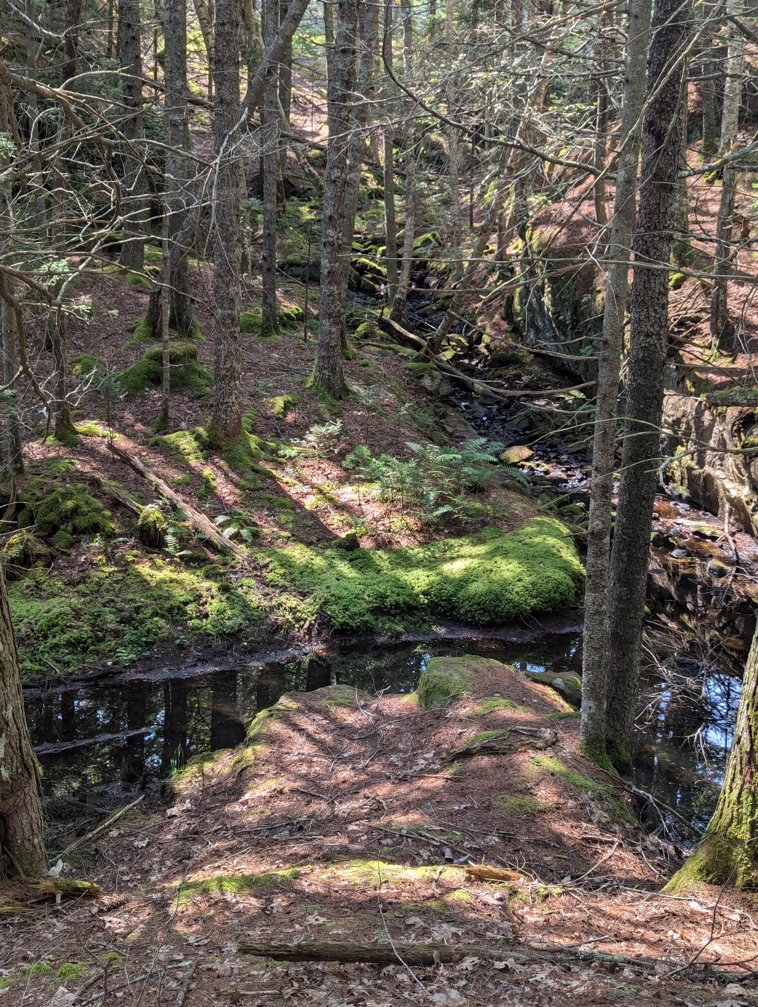 0 Route #144 (main Road) Westport Island ME 04578