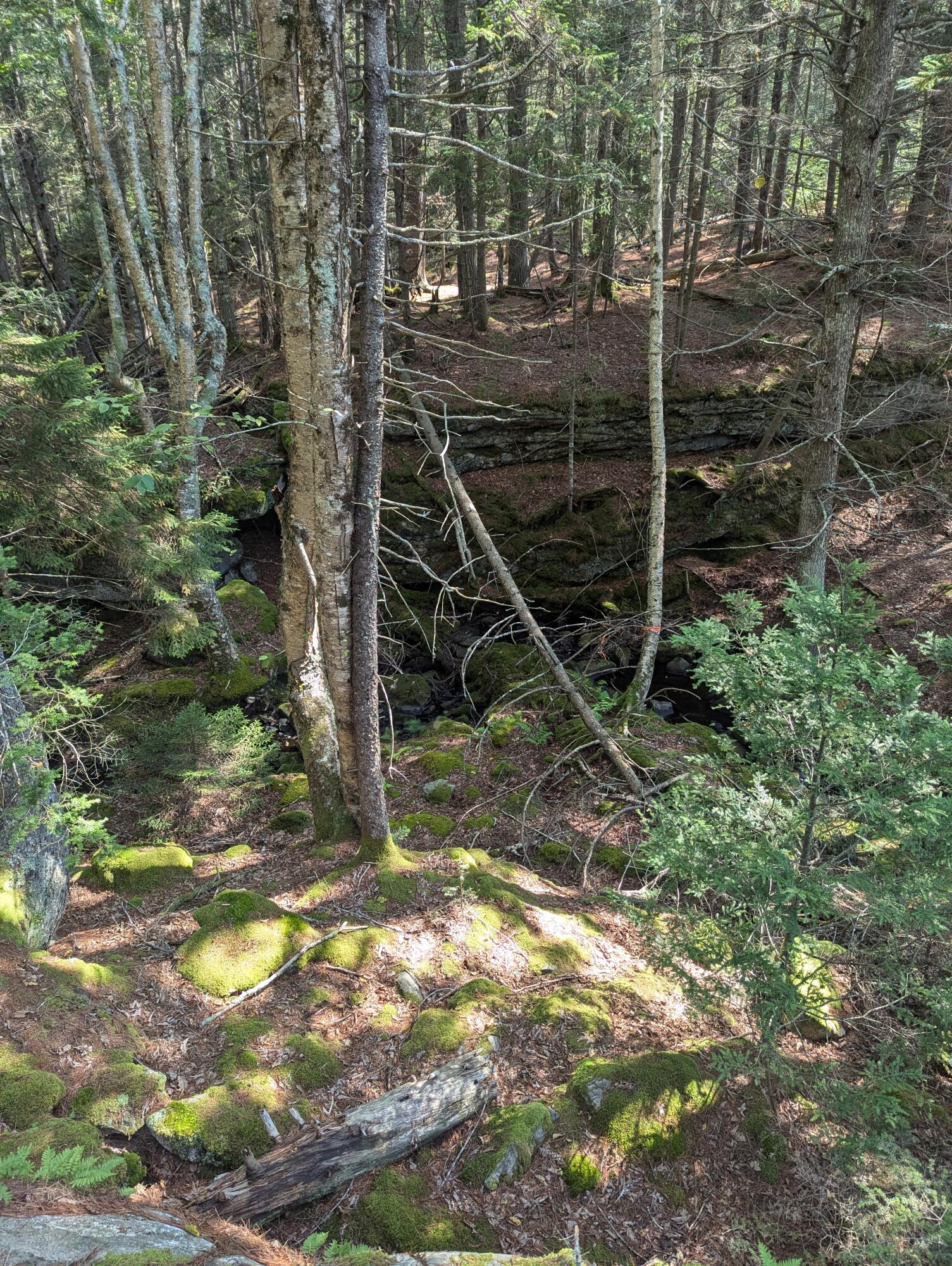 0 Route #144 (main Road) Westport Island ME 04578