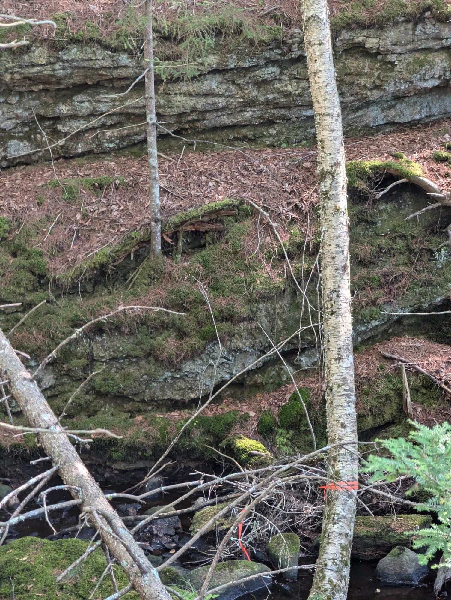 0 Route #144 (main Road) Westport Island ME 04578