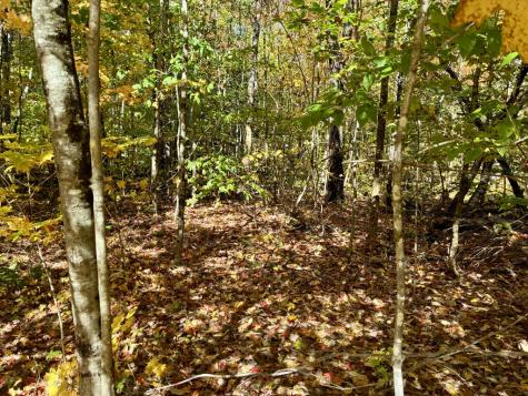 Lot 015 Intervale Road Temple ME 04984