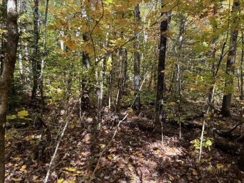 Lot 015 Intervale Road Temple ME 04984