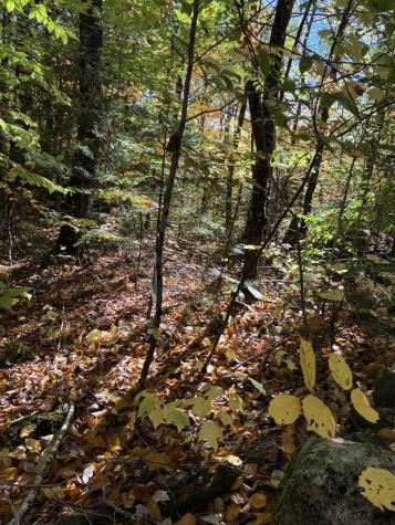Lot 015 Intervale Road Temple ME 04984