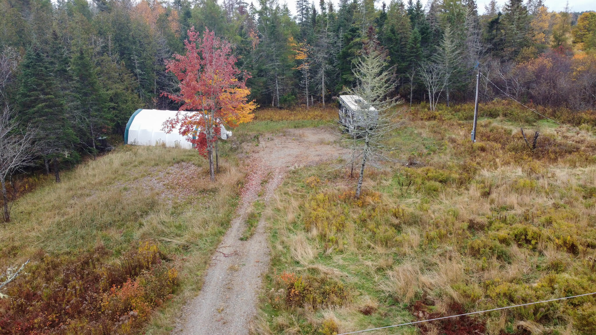 M3L19 Off Cross Road Dennysville ME 04628