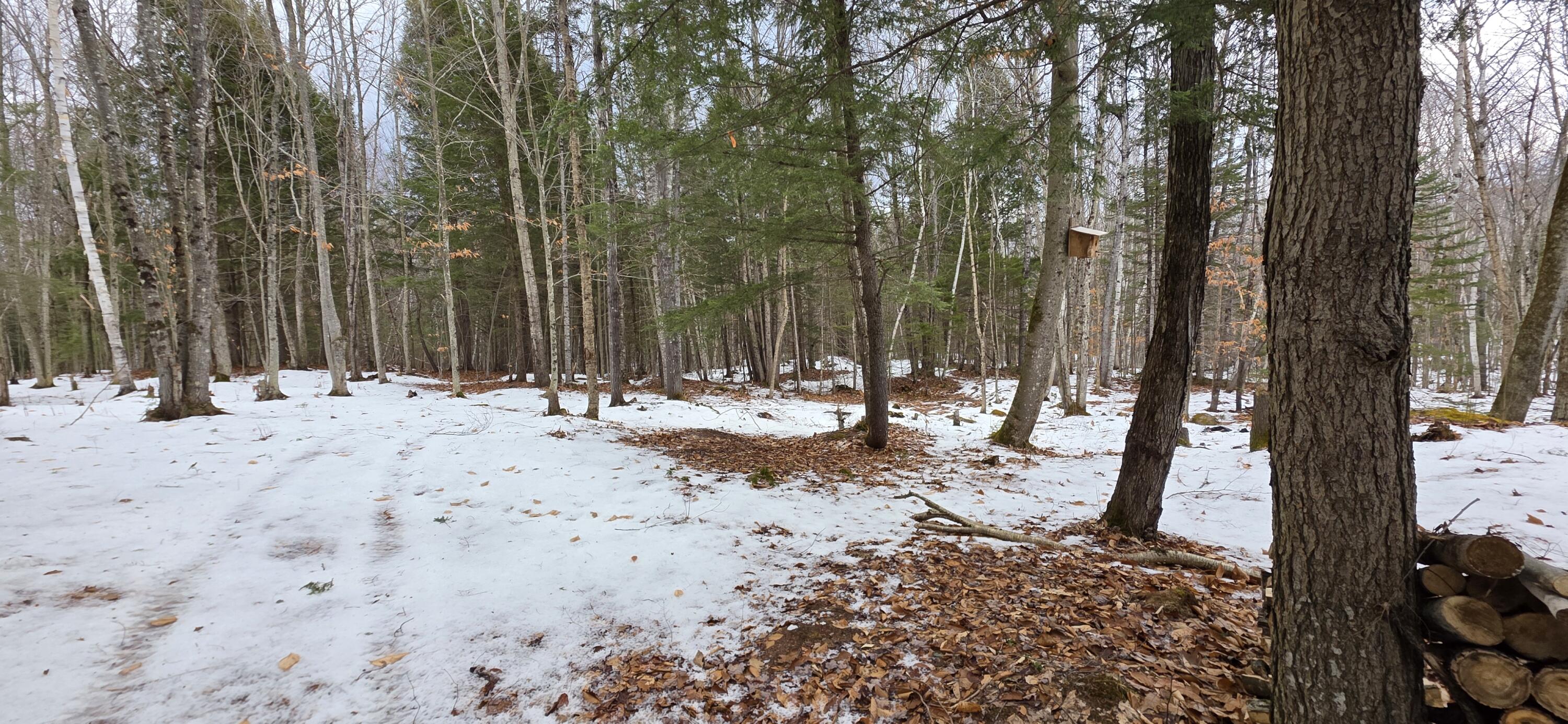 585 Main Street Sumner ME 04292