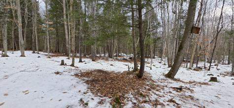 585 Main Street Sumner ME 04292