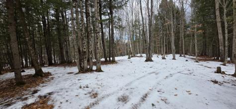 585 Main Street Sumner ME 04292