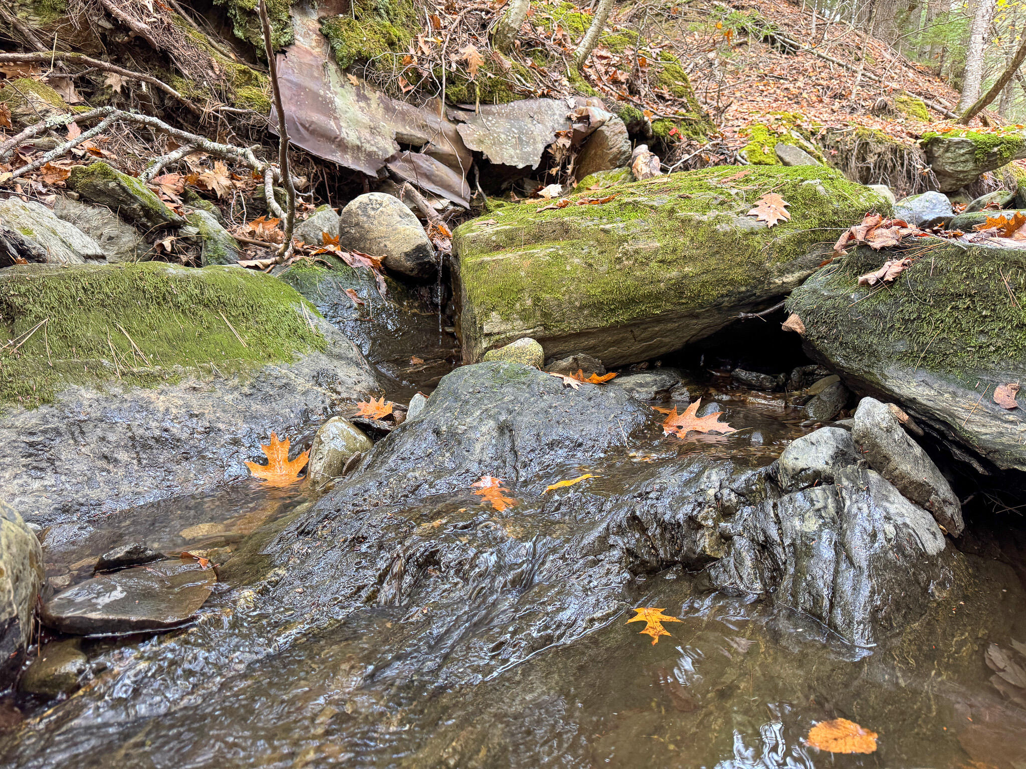 Lot 2 Darci Lane Montville ME 04941