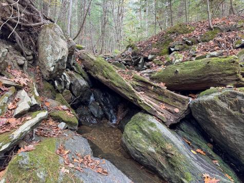 Lot 2 Darci Lane Montville ME 04941