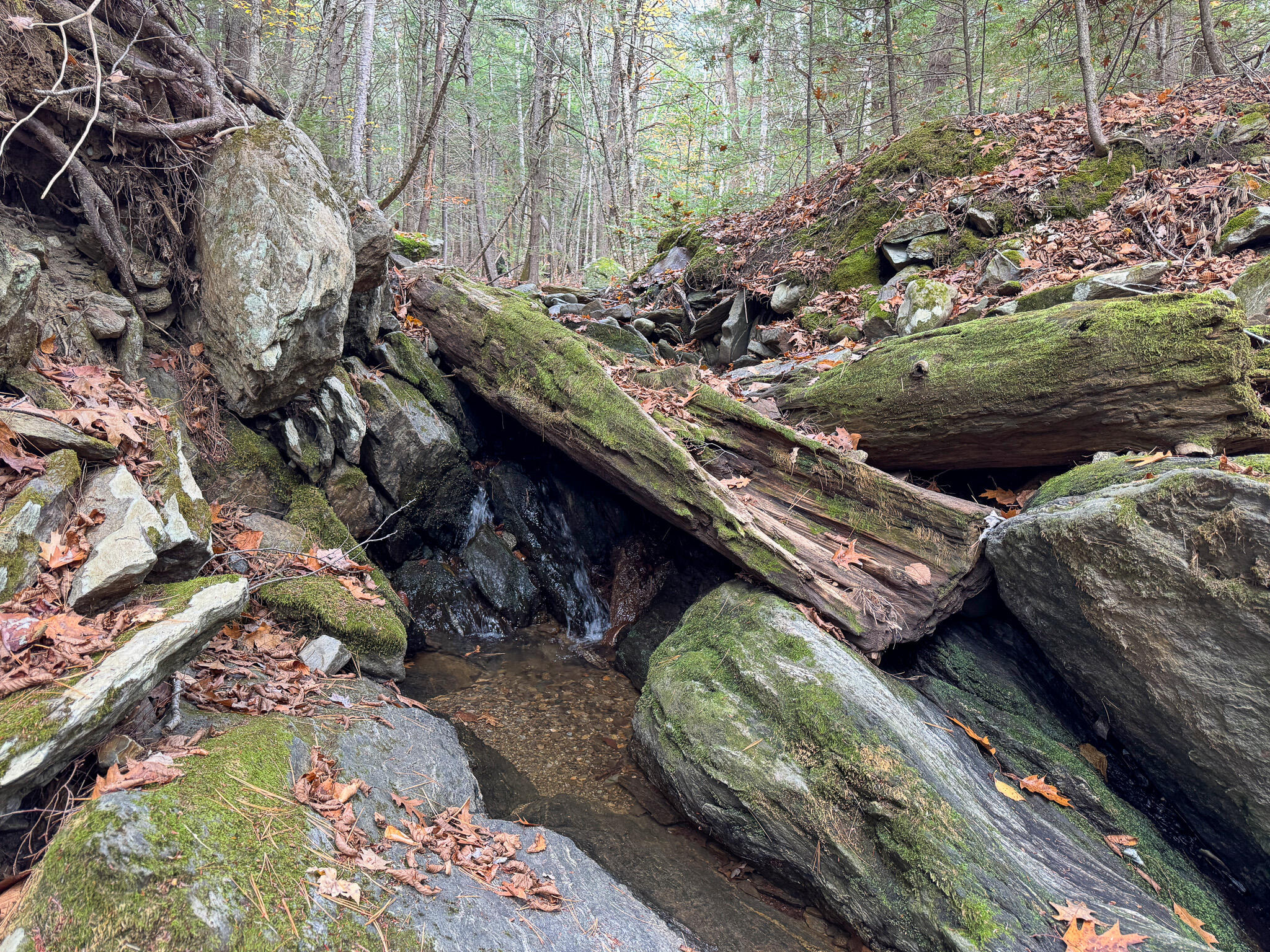 Lot 2 Darci Lane Montville ME 04941