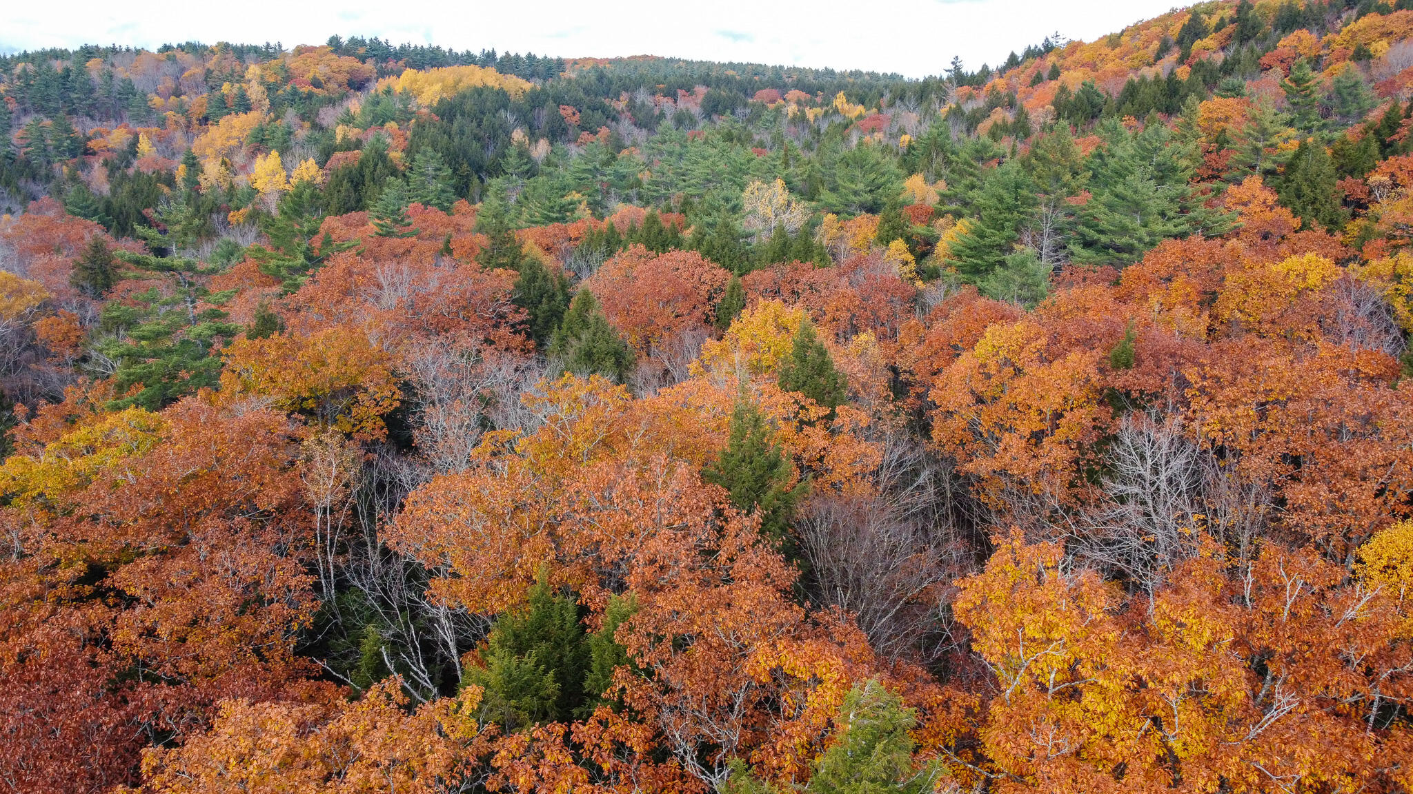 Lot 2 Darci Lane Montville ME 04941