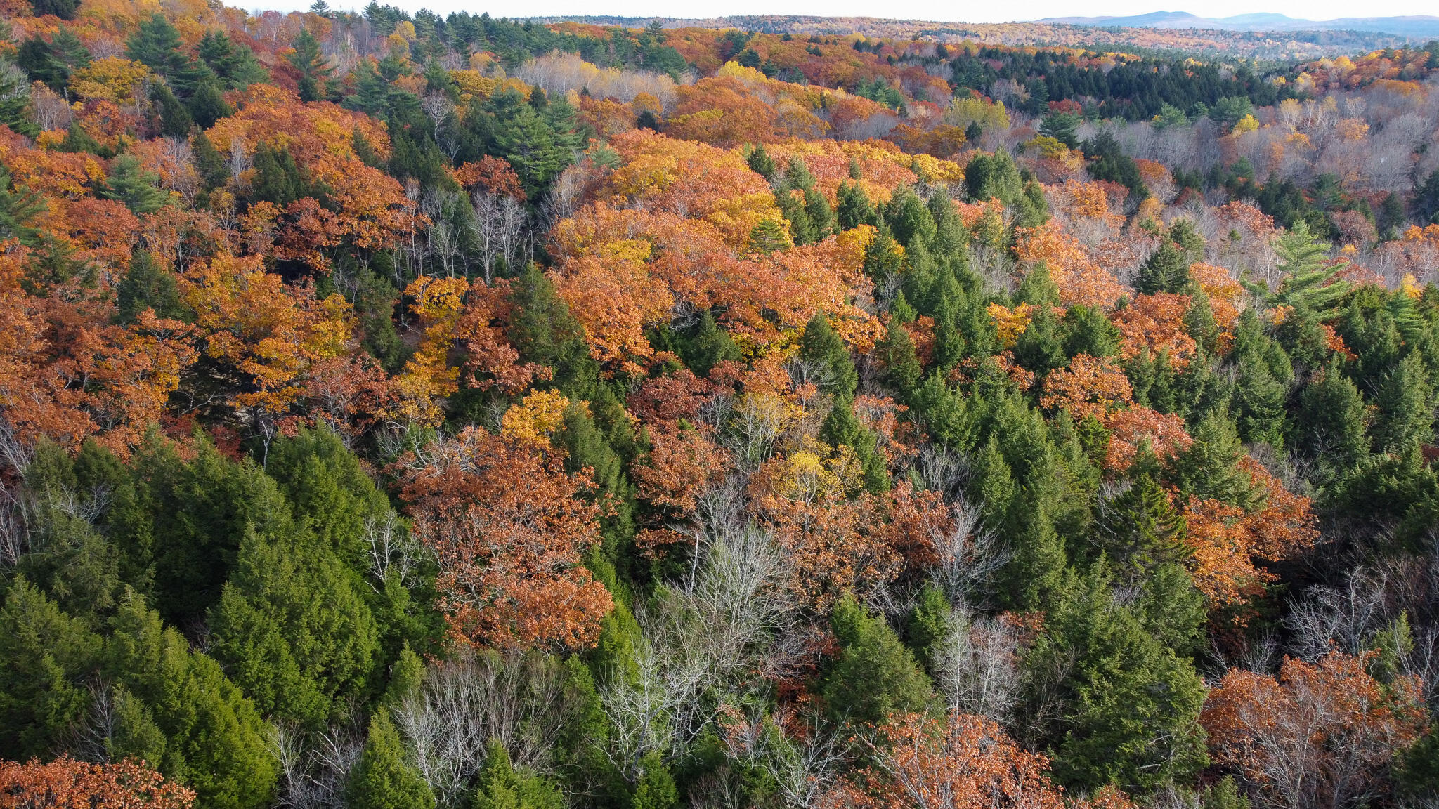 Lot 2 Darci Lane Montville ME 04941