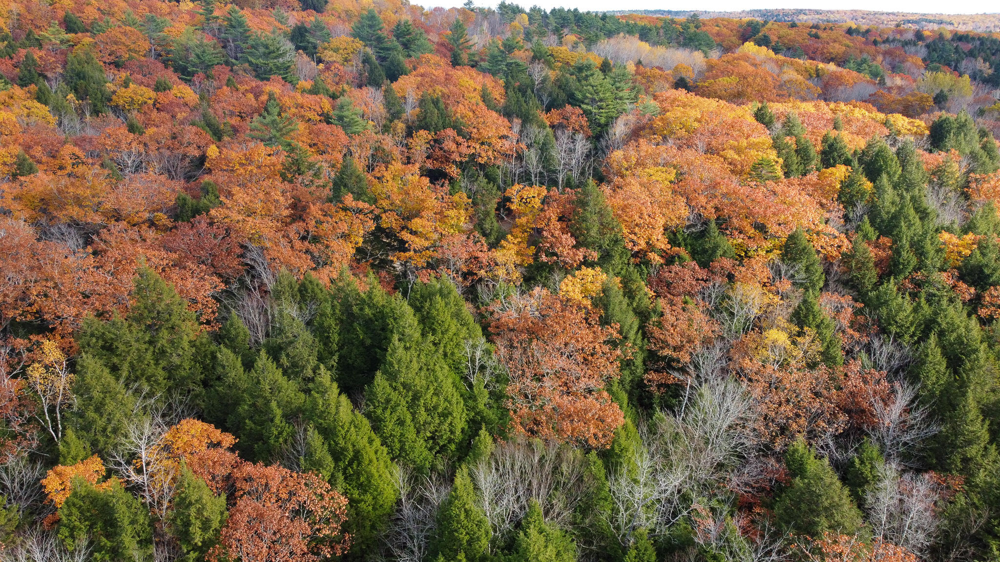 Lot 2 Darci Lane Montville ME 04941