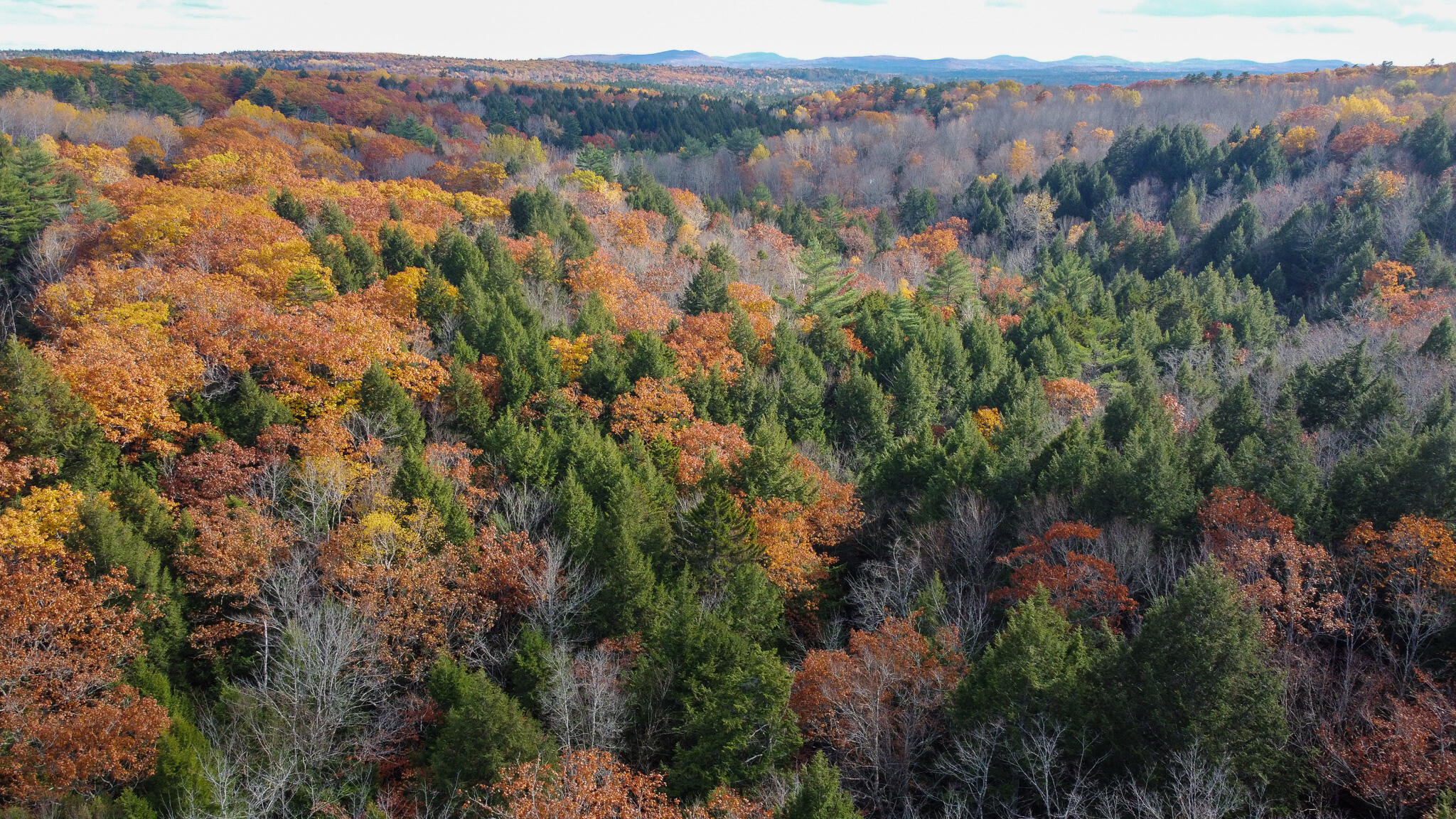 Lot 2 Darci Lane Montville ME 04941