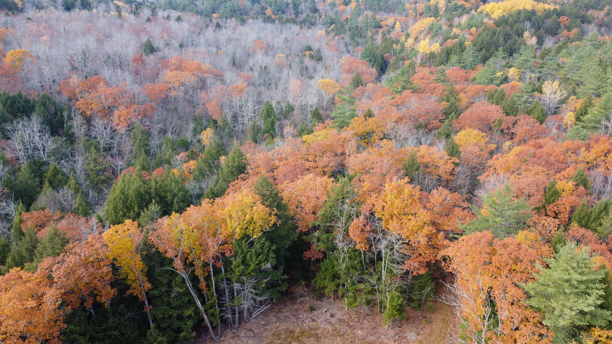 Lot 2 Darci Lane Montville ME 04941