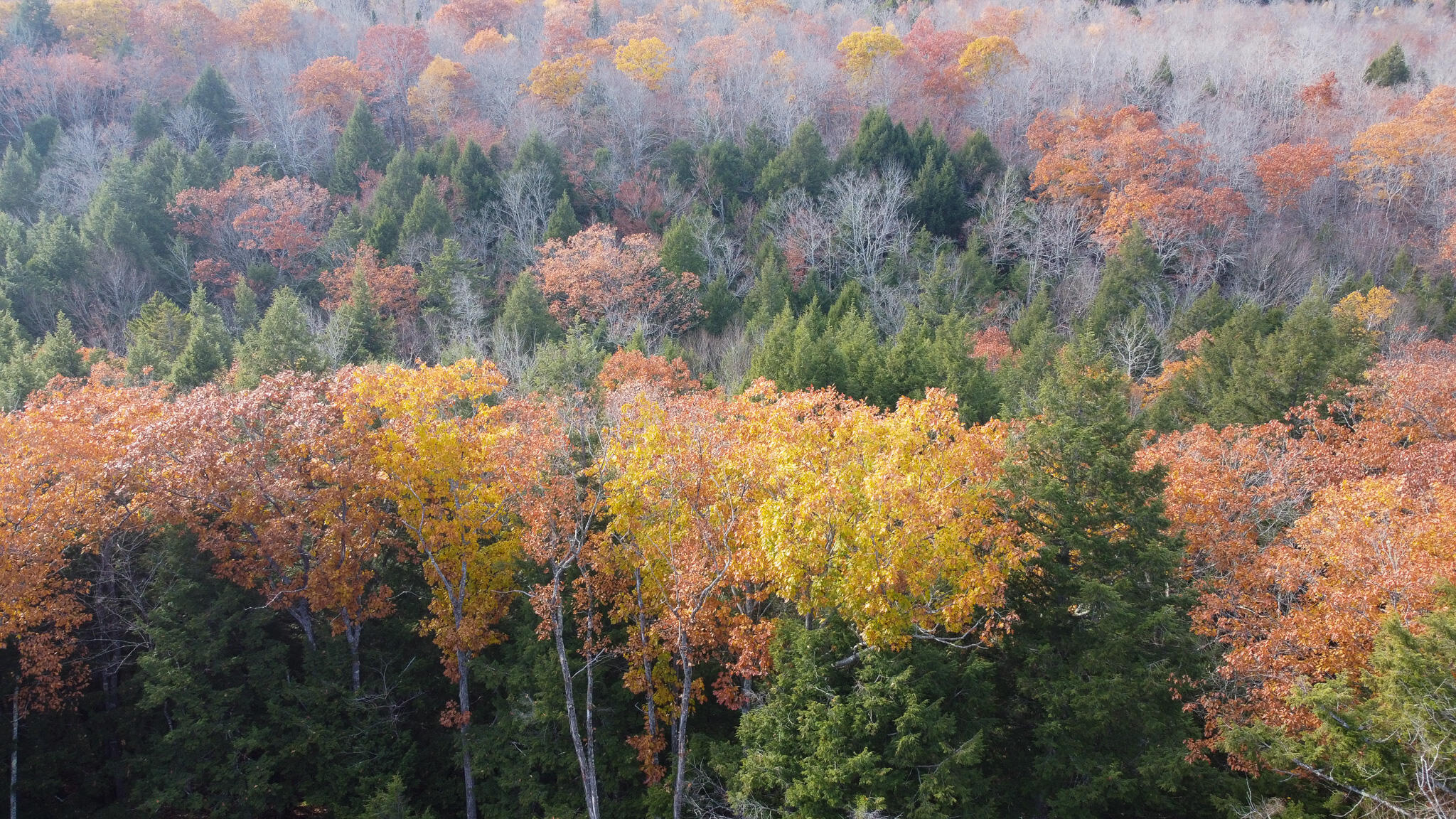 Lot 2 Darci Lane Montville ME 04941