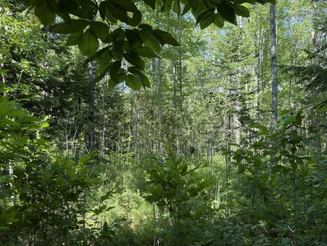 Lot 18 Kimball Road Bridgton ME 04009