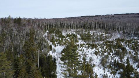 M3/L9.11 Bemis Road Rangeley Plt ME 04970