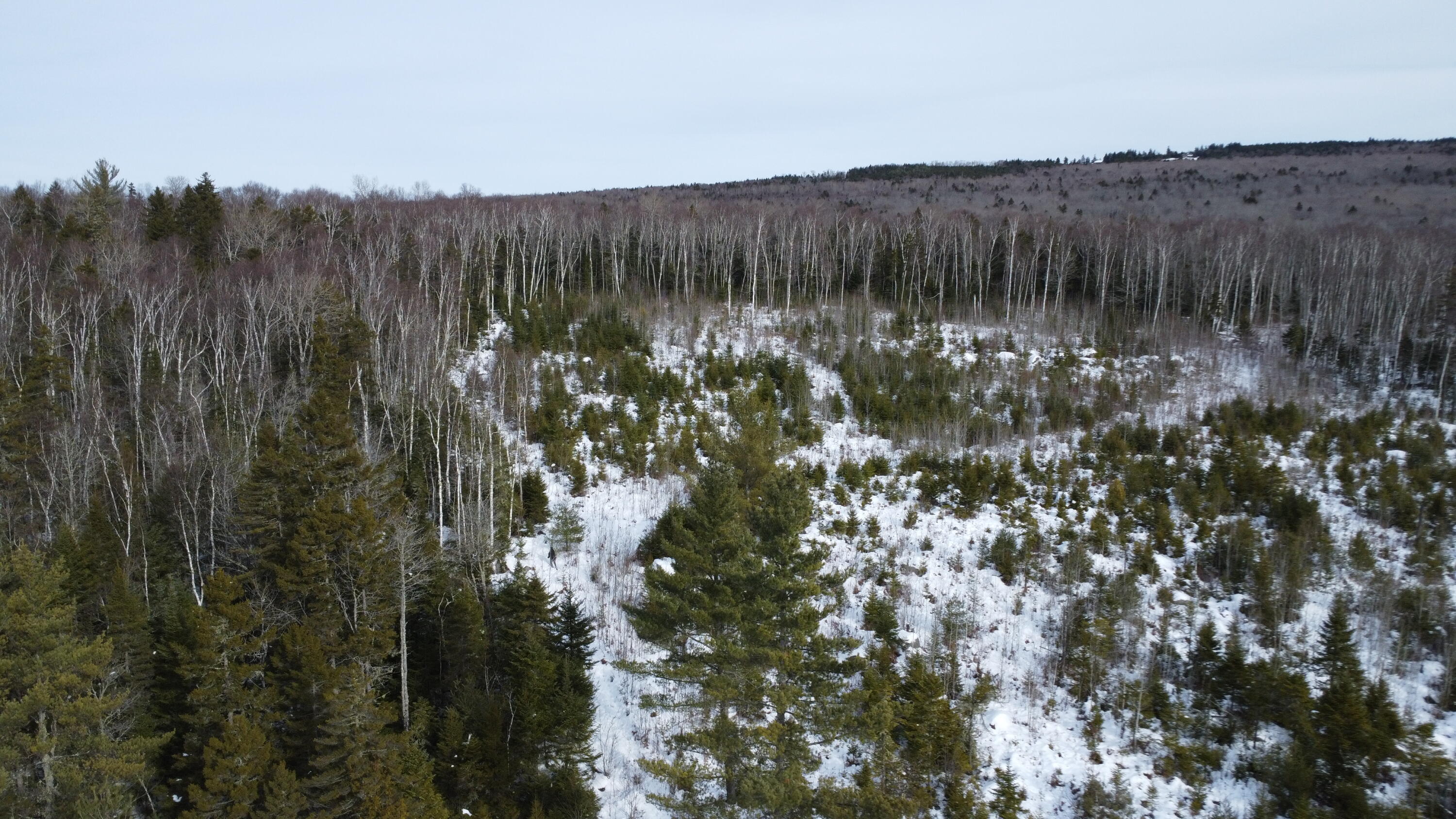 M3/L9.11 Bemis Road Rangeley Plt ME 04970