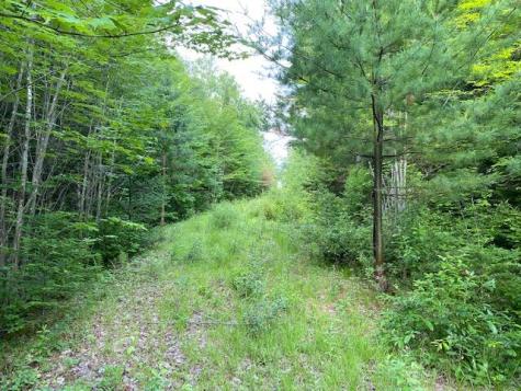 M3/L9.11 Bemis Road Rangeley Plt ME 04970