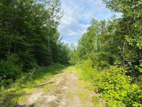 M3/L9.11 Bemis Road Rangeley Plt ME 04970
