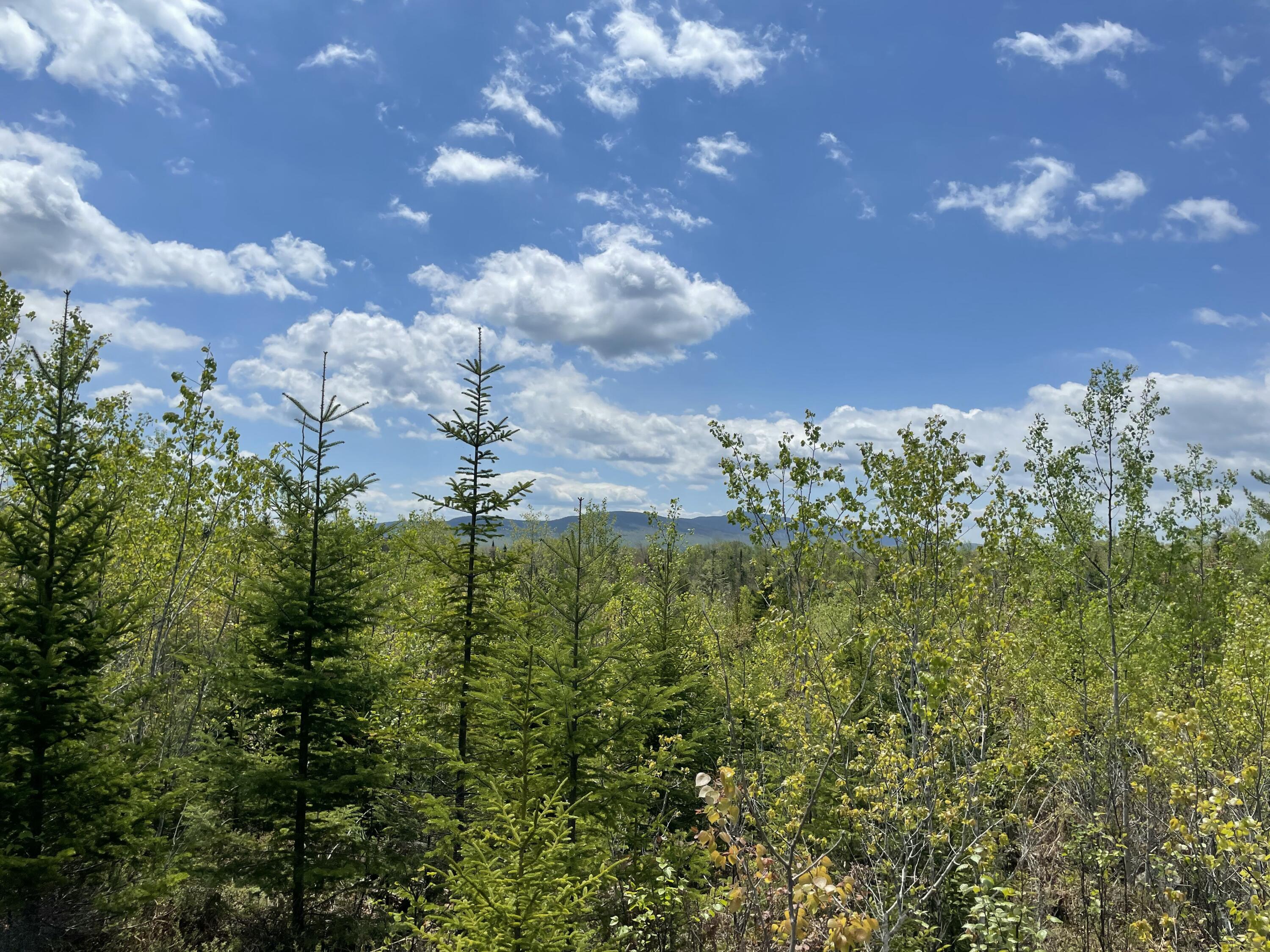 M3/L9.11 Bemis Road Rangeley Plt ME 04970