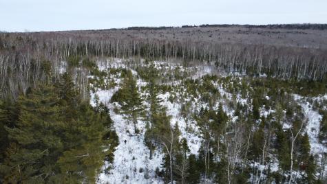 M3/L9.11 Bemis Road Rangeley Plt ME 04970