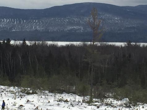 M3/L9.11 Bemis Road Rangeley Plt ME 04970