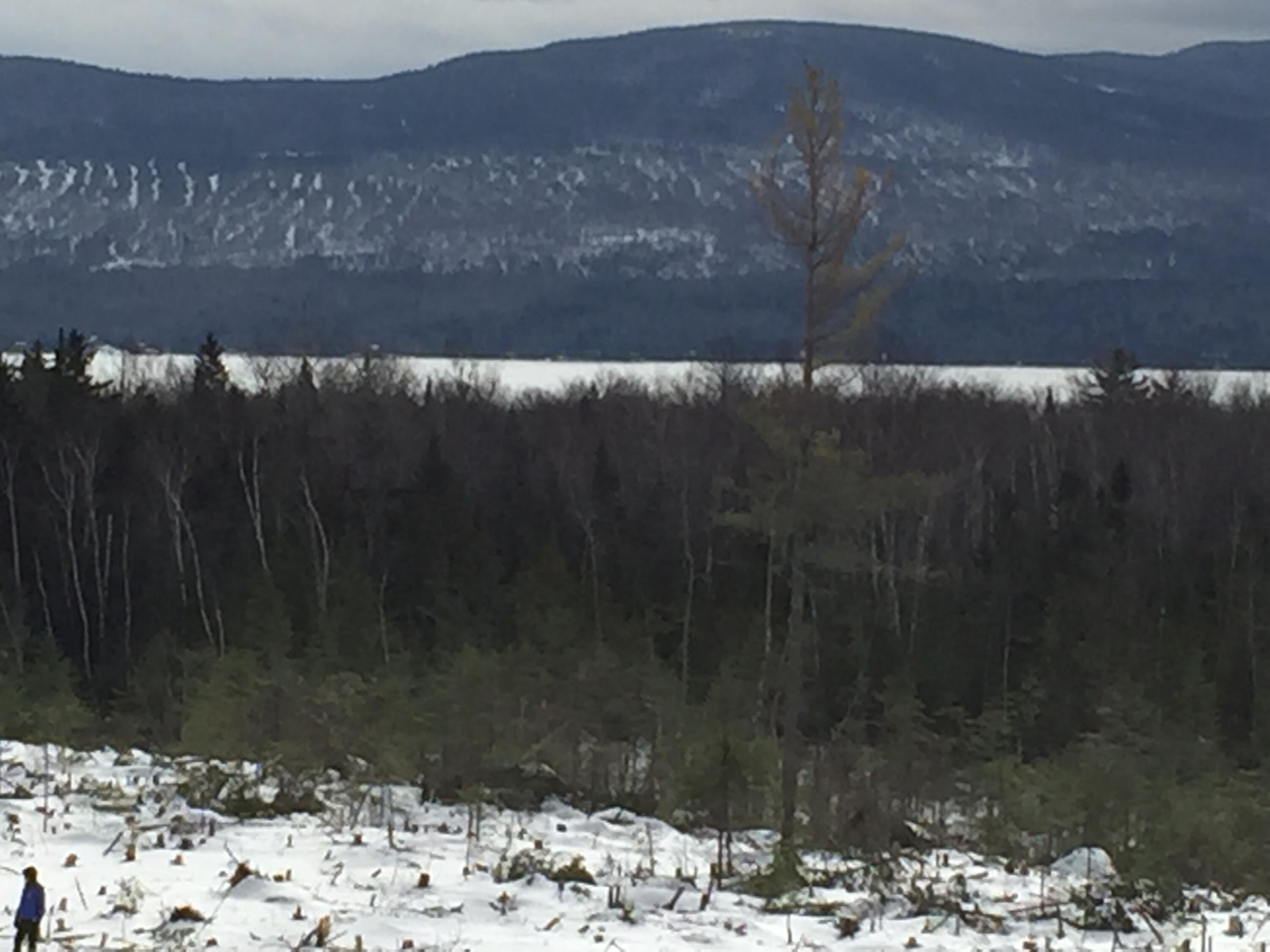 M3/L9.11 Bemis Road Rangeley Plt ME 04970